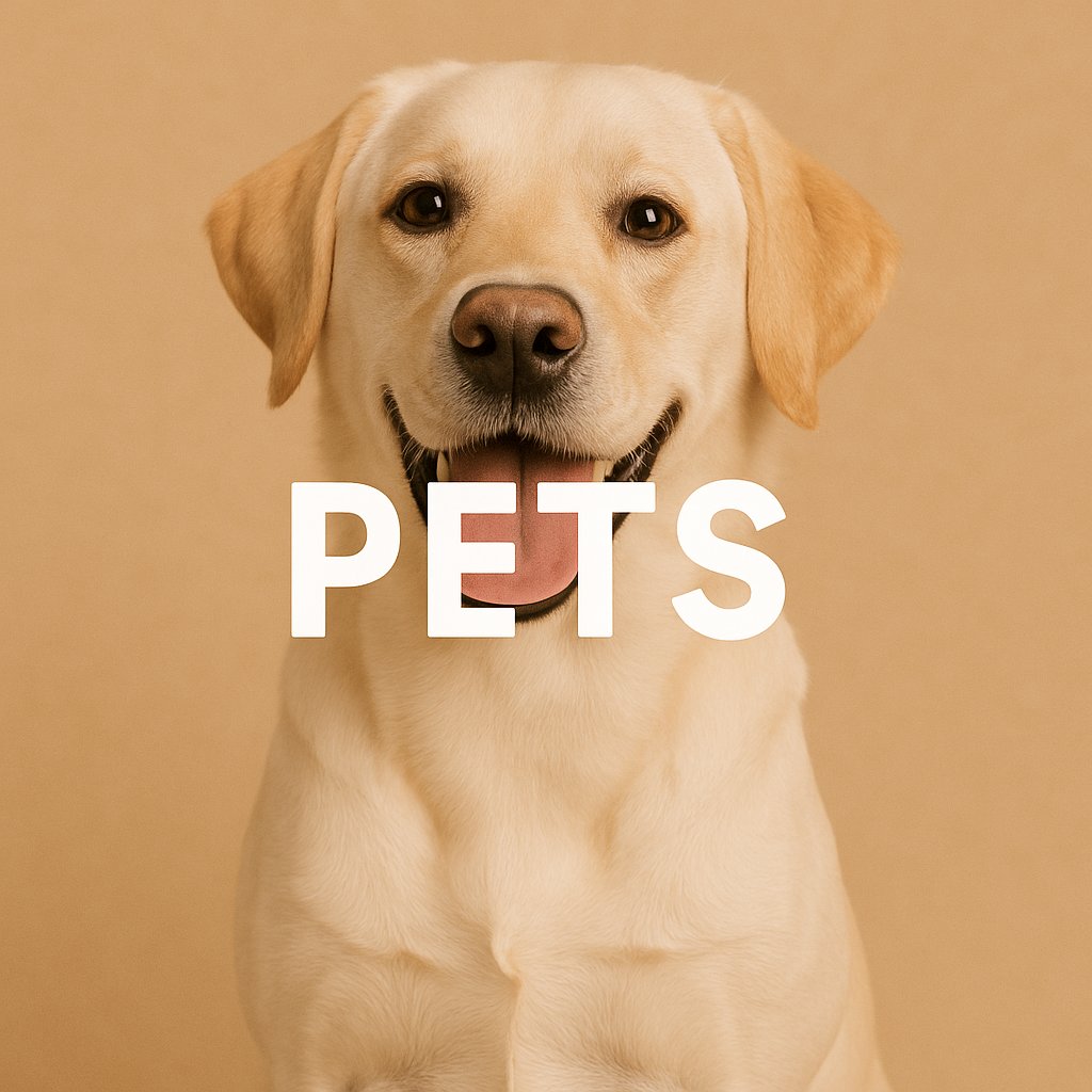 Pets