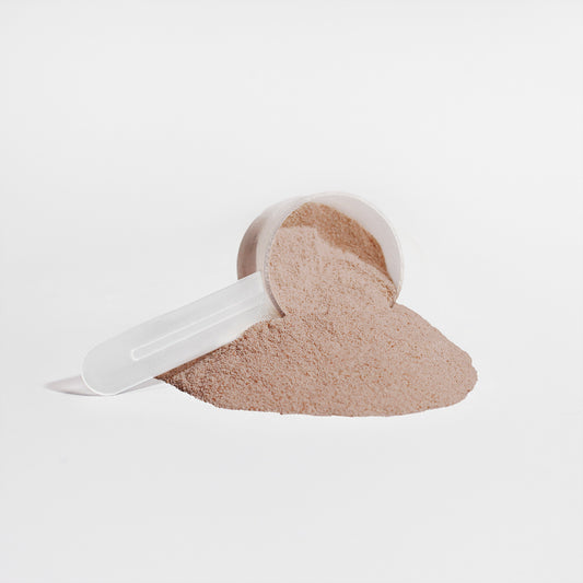 Vyta+ Plant Protein (Chocolate)